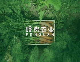 農(nóng)業(yè)品牌升級(jí)VI設(shè)計(jì)-農(nóng)業(yè)公司VIS系統(tǒng)設(shè)計(jì)