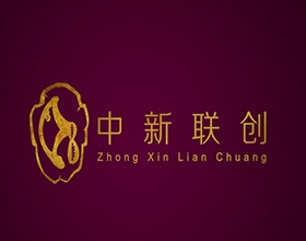 【中新聯(lián)創(chuàng)】金融企業(yè)LOGO設(shè)計(jì)理念講解,金融LOGO設(shè)計(jì)效果圖片欣賞